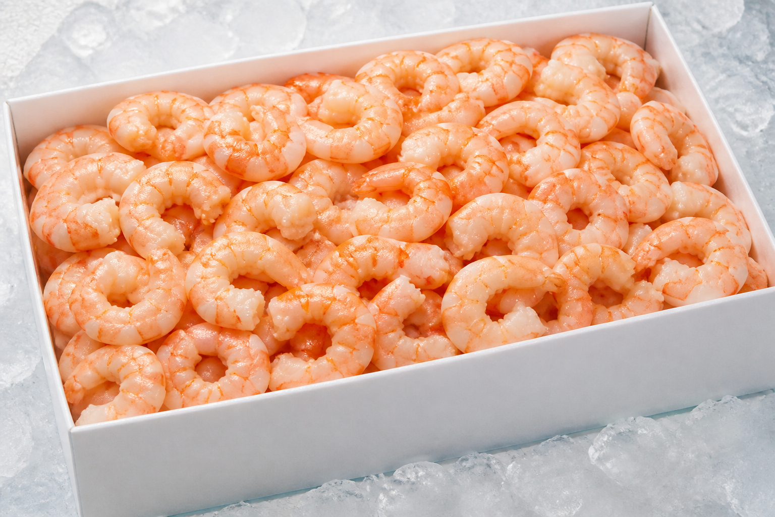 Cooked Shrimp IQF 16/20 — Export Pack